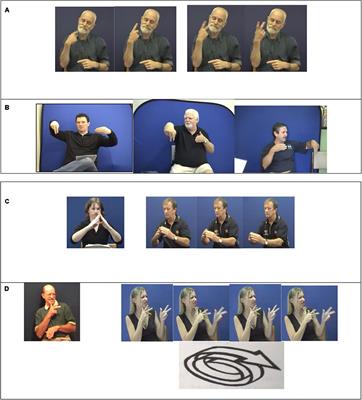 Sociolinguistic Typology and Sign Languages